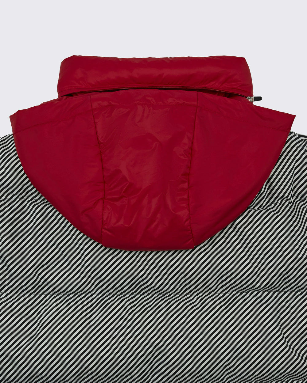 Pin Stripe - Black,Snow White